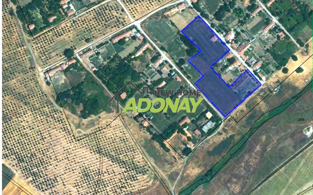 Продава се Парцел в с. Алеково, Област Велико Търново - 10246 кв.м за 9 €/кв.м - Снимка #3