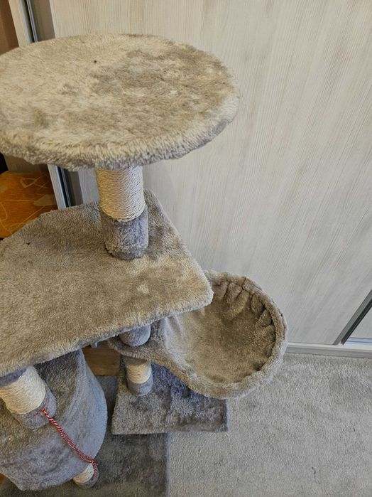 котешка катерушка