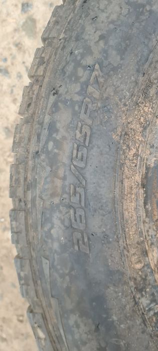 Срочно продам шина 1 штук