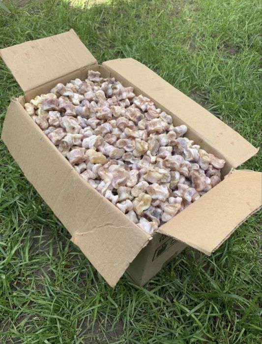 Асык асыки асики