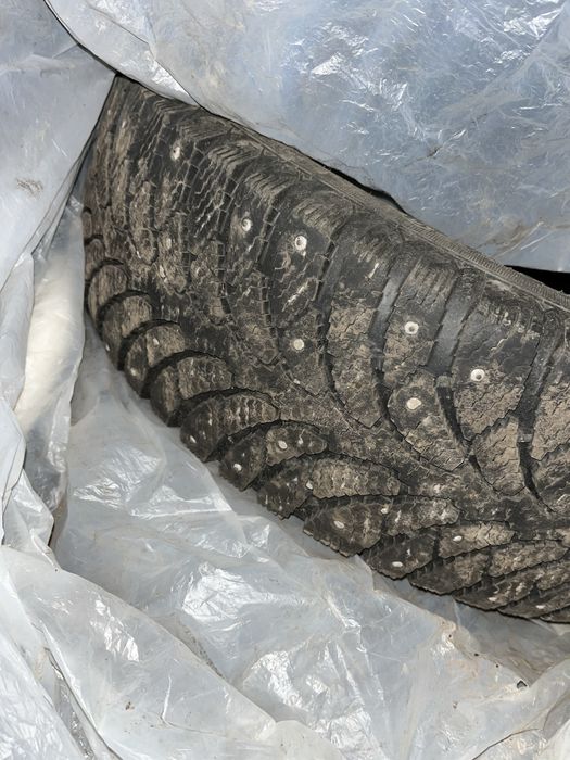 Зимняя шипованная шина