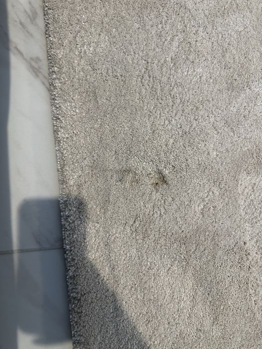 Килим шаги 200-300см бежов цвят