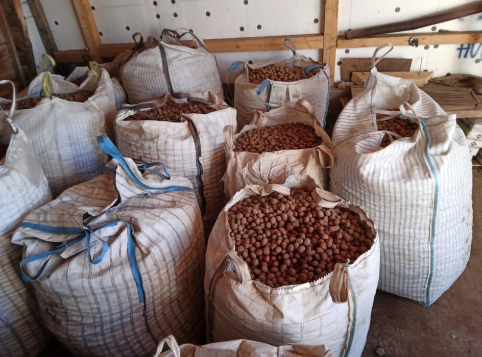 Cartofi pentru animale