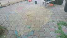 Prostovol clasic decor