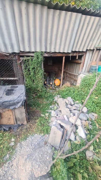 Отдам бревна деревья дрова