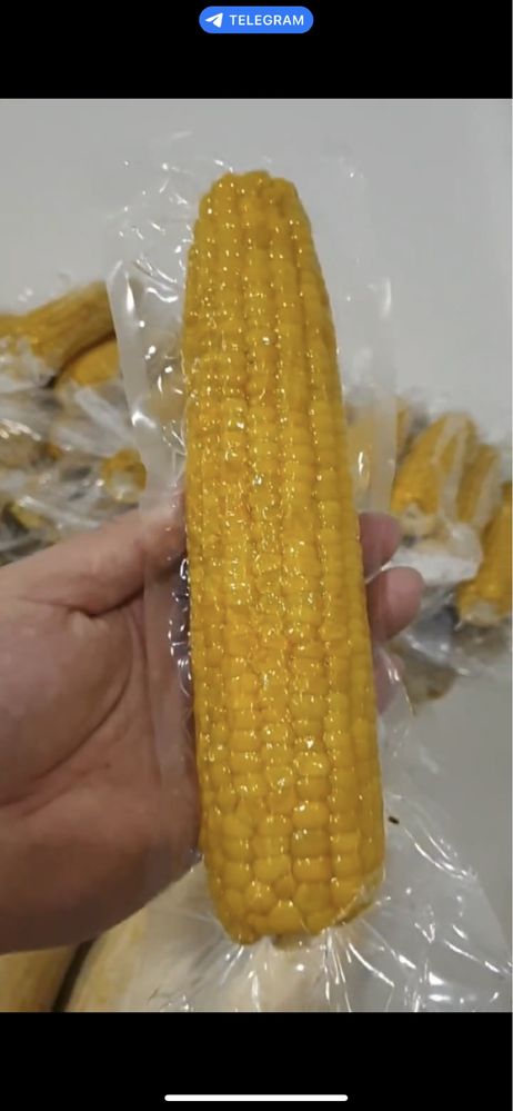 Кукуруза,сладкая кукуруза в вакуме