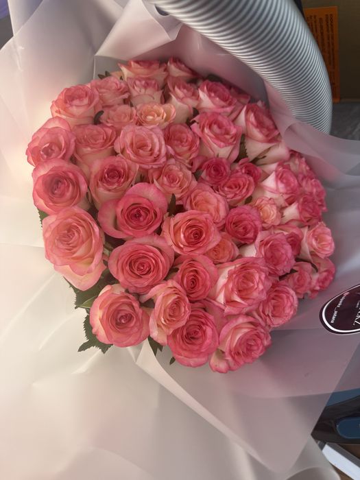 Роза 55 шт свежие