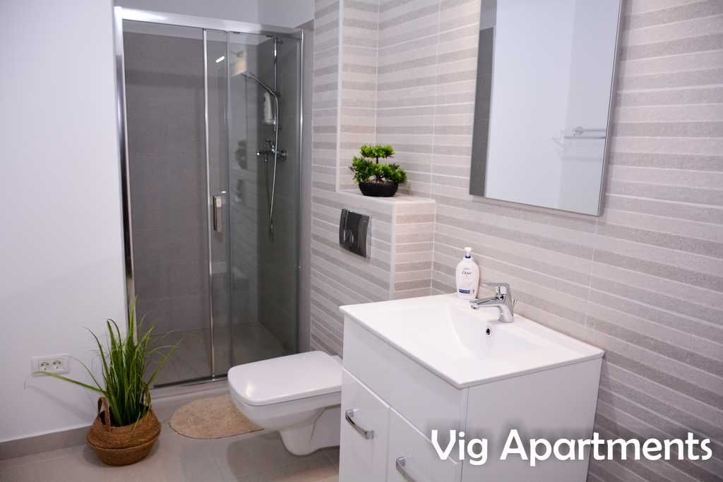 Apartament regim hotelier Timisoara