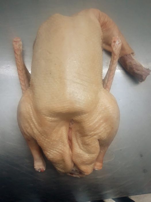 Мясо домашней утки