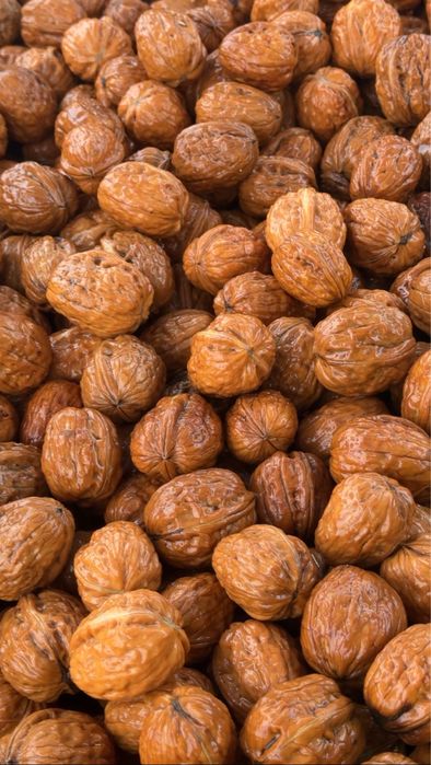 Nuci in coaja productie 2025 FERNOR