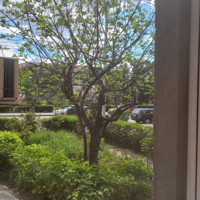 Vand Apartament 3 camere vis a vis de Liceul Titeica