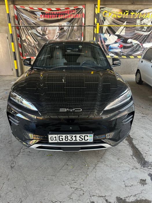 Byd champion 605