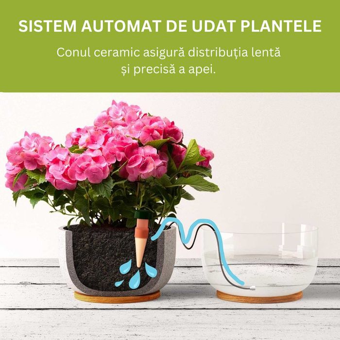 Sistem automat de udat plante