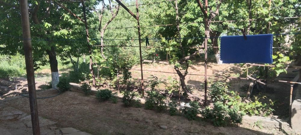 Продам срочно участок в ЧарвакБурчмулла