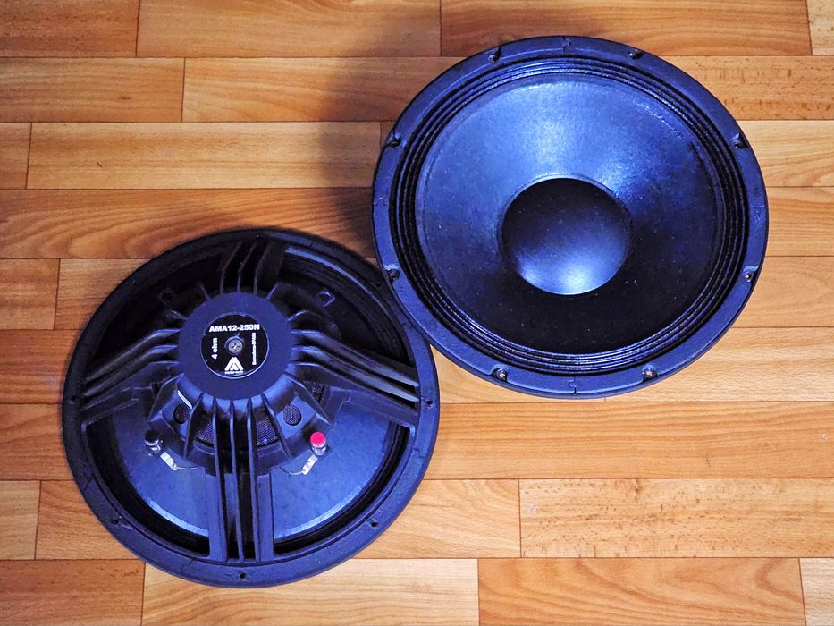 12-дюймовые неодимовые динамики MASTER-AUDIO AMA12-250N