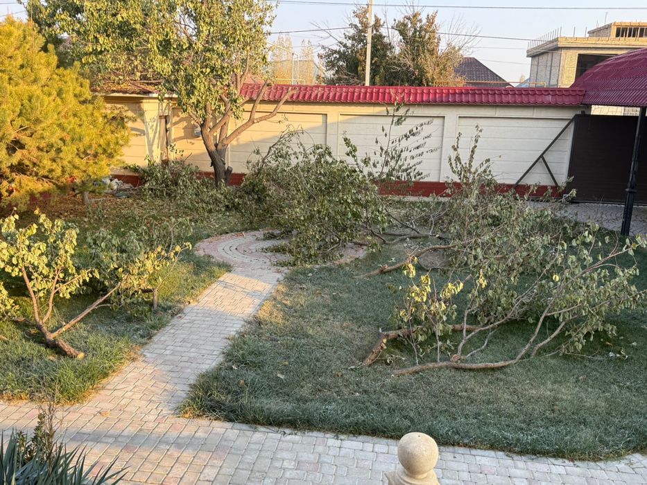 Отын драва тегін. Алып кететін адам болса. Бұталған