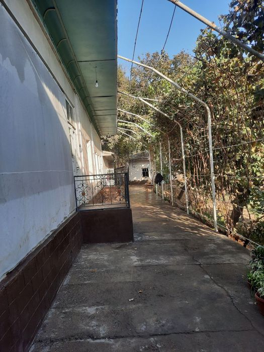 Аренда Участок Зангиота Ором кафе!