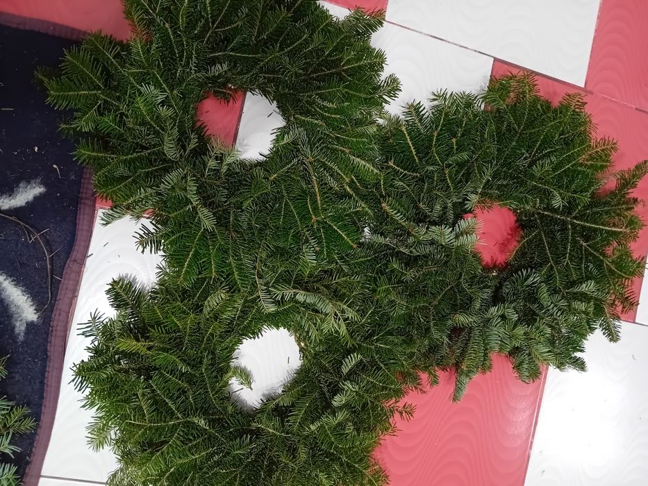 Coronite brad natural