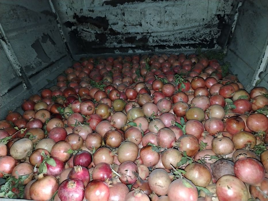 Anor sotiladi shirin nordon