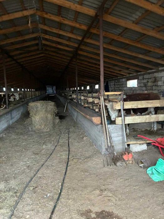 Продам действующий откормочный комплекс