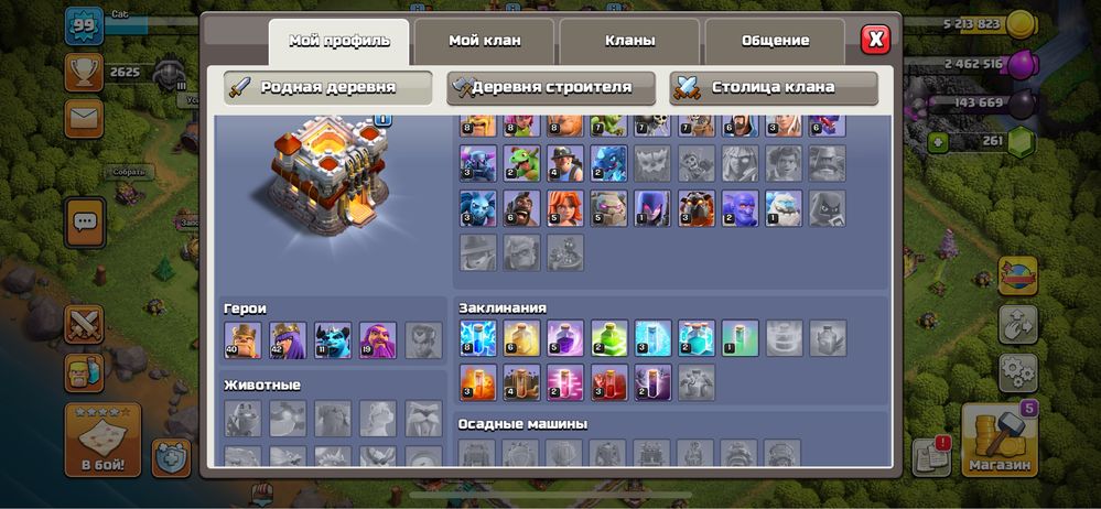 Фулл 11ратуша 2600 кубков
