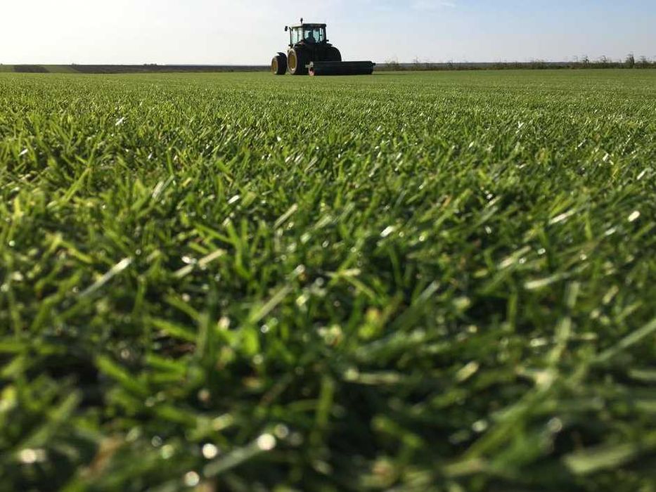 Gazon Rulou Sisteme de Irigare Profesionale Oriunde in tara