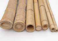 Бамбукови Пръчки, Диаметър от 2 до 16 см, Пръти с Дължина 300см