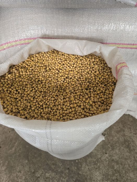 Vând soia la 2,5 lei