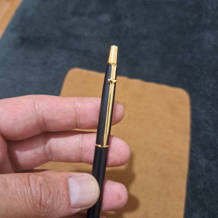 Pix Caran dachd swiss.