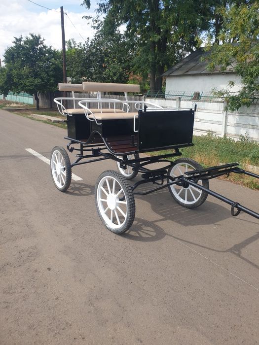 Trasura usoara caleasca