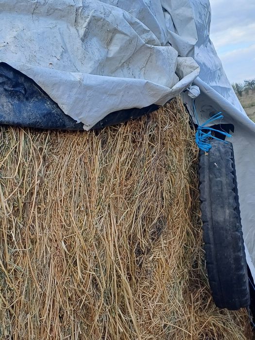 Baloți rotunzi de vanzare