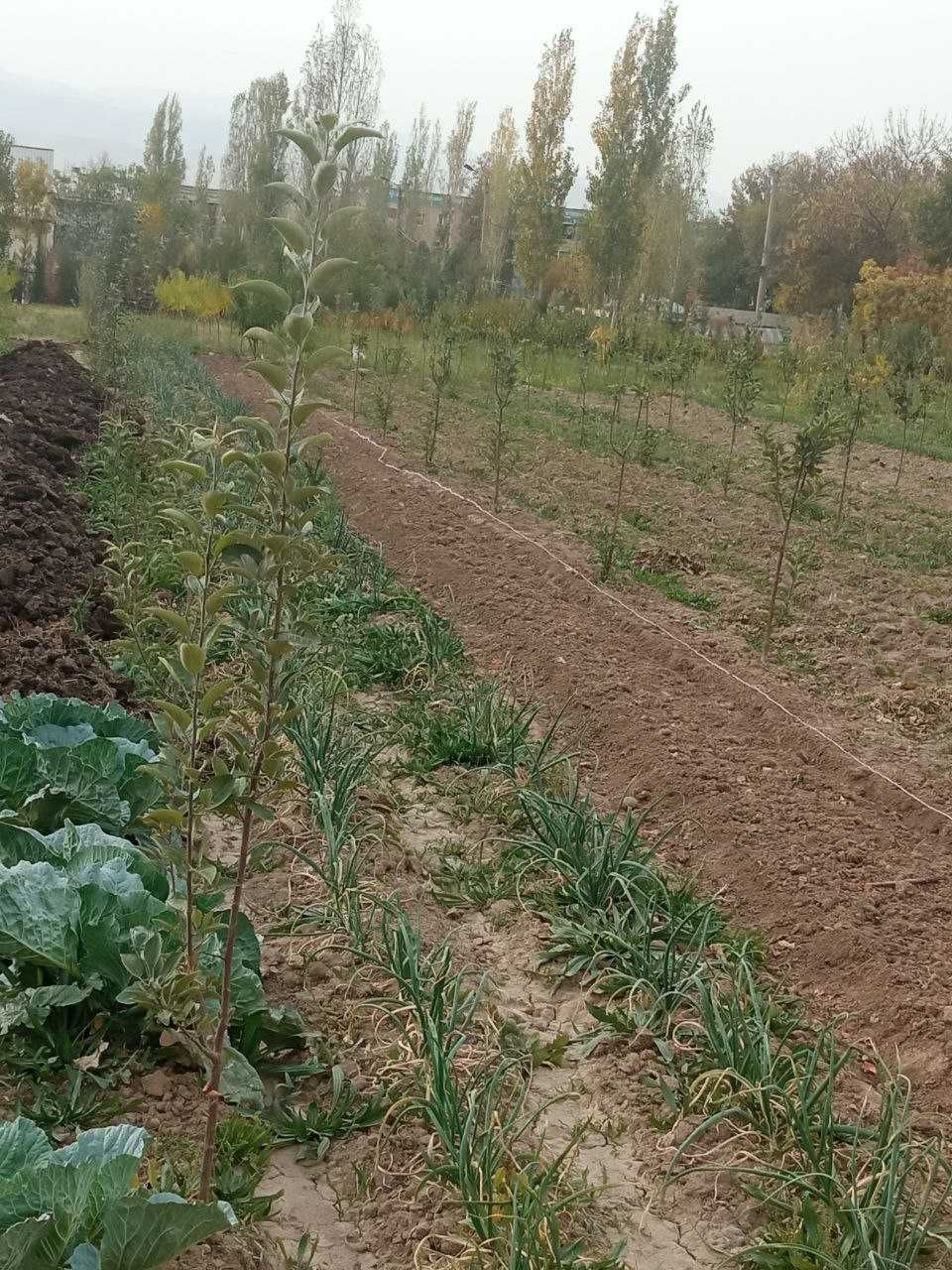 Срочна ЕР / ЗЕМЛЯ сотилади (1,07 га). Без посредников