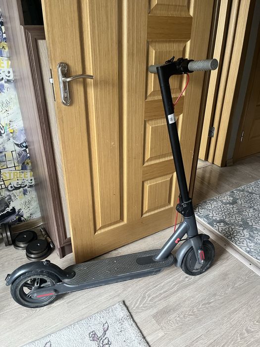 Самоеат электрический