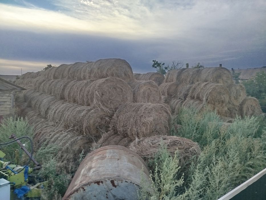 Продам сено луговое в рулонах