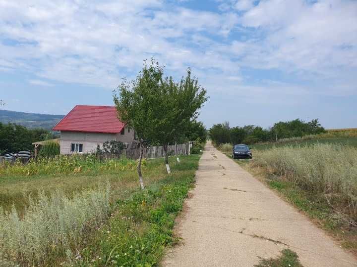 Teren Chicirea (Tomesti)  1.219 mp, 25 euro/mp