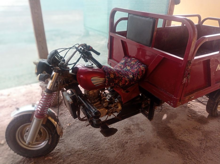 Муравей нови сторт