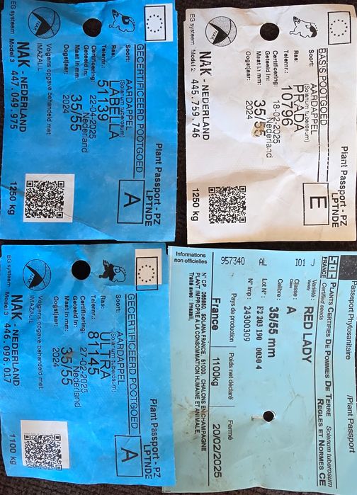 Cartofi sămânță din ELITĂ și CLASA A: Red lady, Prada, La Bella, Ultra