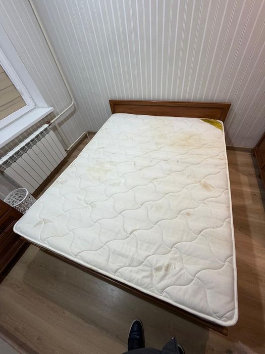 Отдадим бесплатно