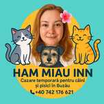 Petsitting / Cazare temporara pentru Catei si pisici in Buzau