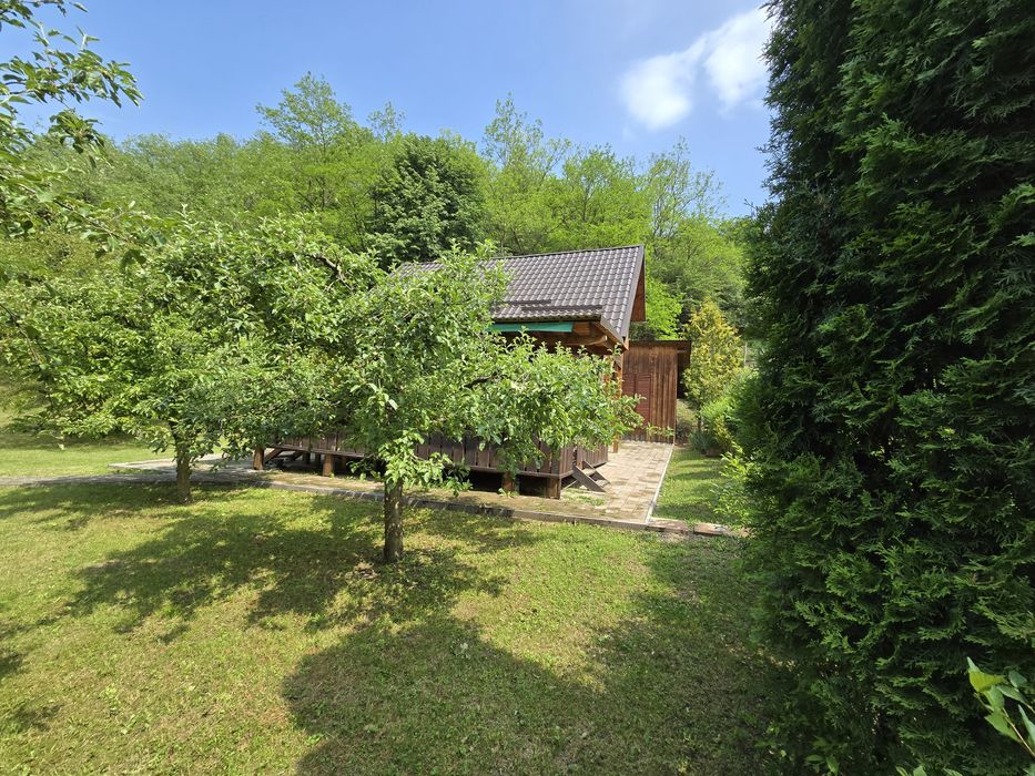 Vând cabana în Ocolisel, comuna Iara