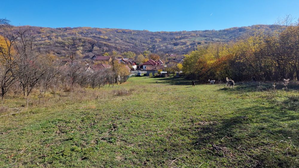 Vând teren intravilan 8000 m²