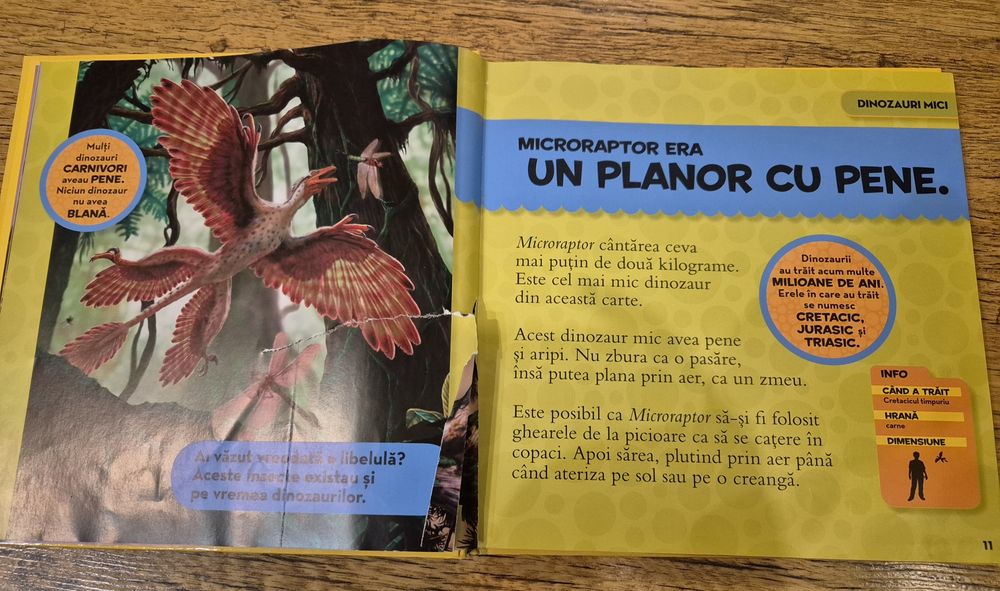 Prima mea carte despre dinozauri