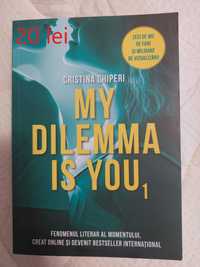 My dilemma is you- Cristina Chiperi