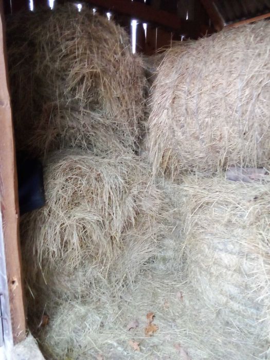 Vând baloți de fân moale