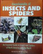 Enciclopedia insectelor si paianjenilor, format 25/20cm, volum nou