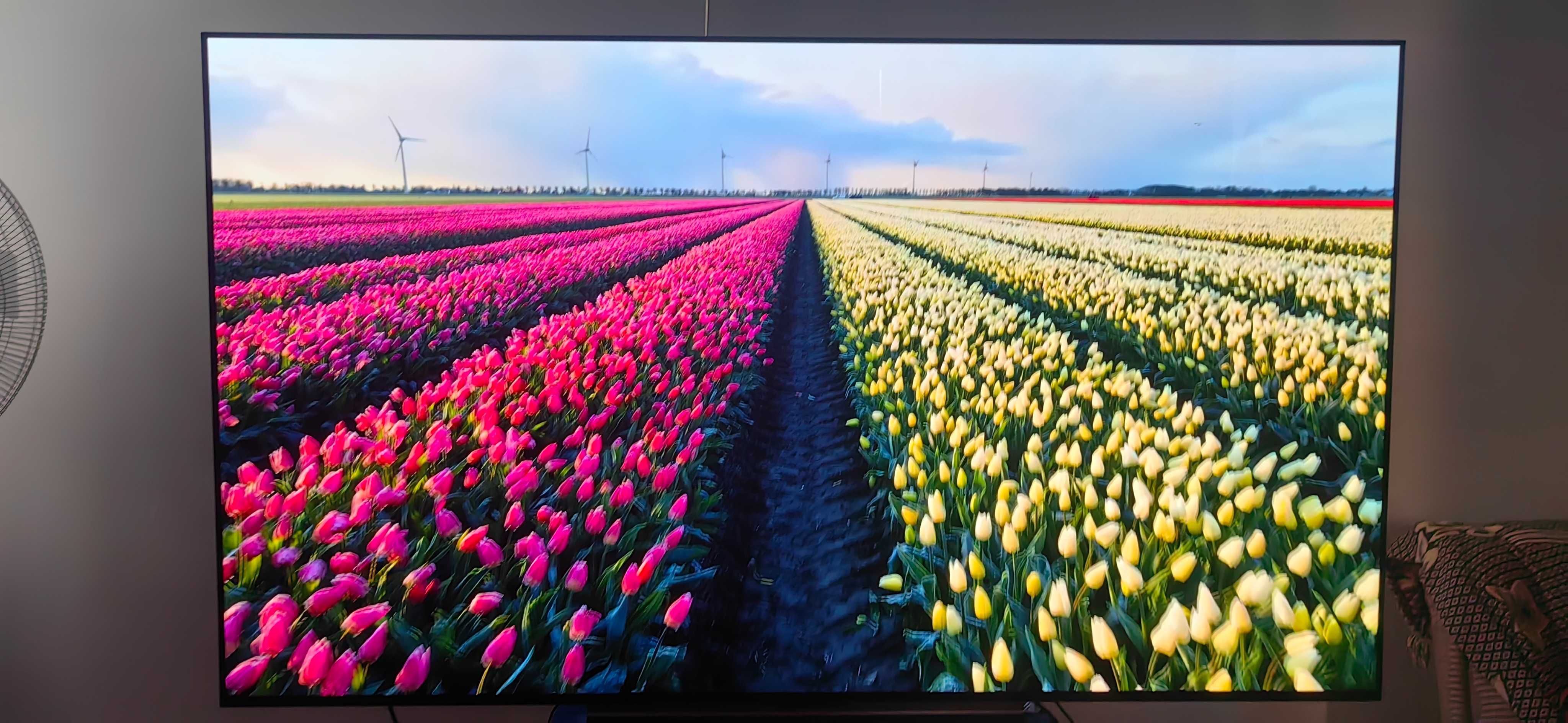 Televizor Lg  Oled c3 55 inch