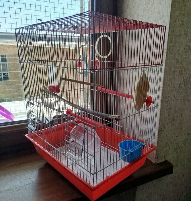 Клетки для грызунов и птиц