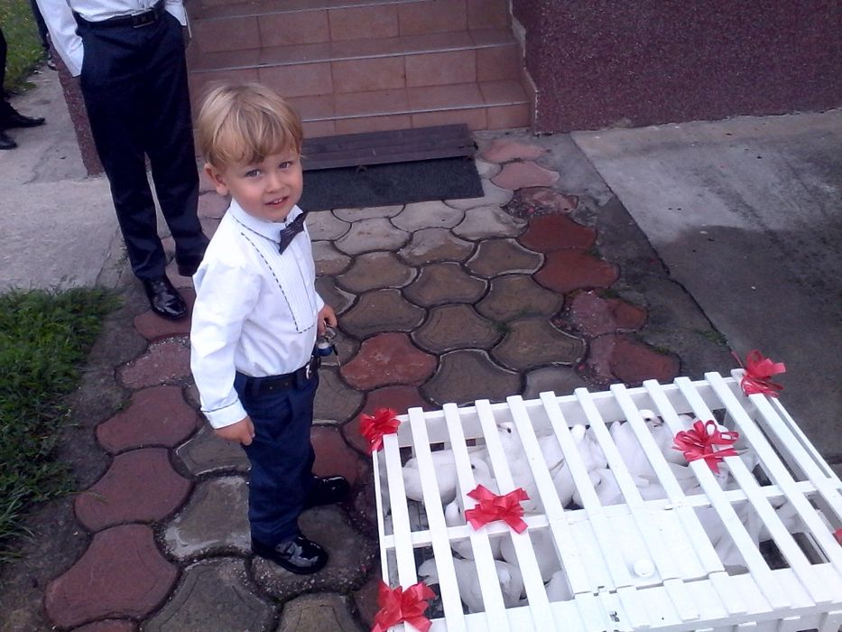 Porumbei albi pentru evenimente