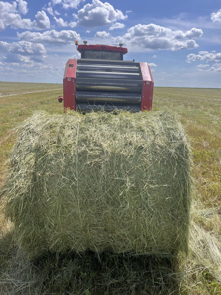 Шөп, сено, тюк, рулон, доставка, жеткізу