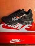 Nike air max plus swoosh